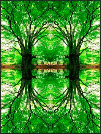 Обратен завой, завъртате, обръщате обекти в Photoshop