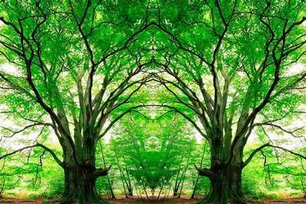 Обратен завой, завъртате, обръщате обекти в Photoshop
