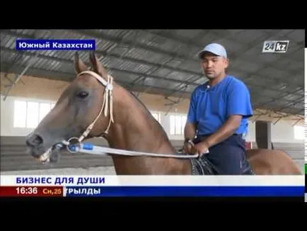 Развъждане на коне като носи конче, расте оборудване и е печеливша или не