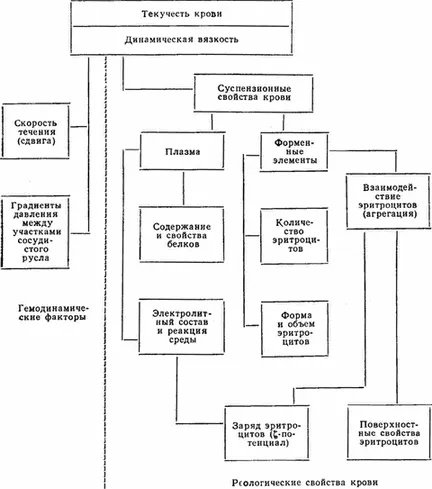 Реологичните свойства на кръв, техните методи на изследване и стойността в оценката на кръвообращението