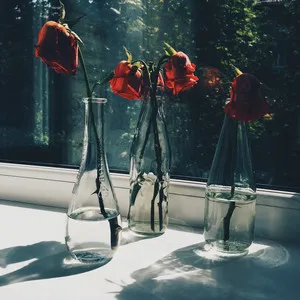 Roses искаш бързо какво да правят - жена и ден