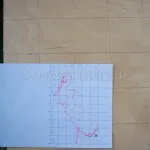 домашно щъркел