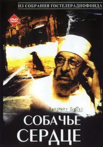 Най-добра комедия