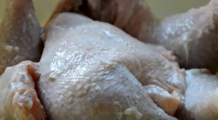 Най-вкусните шишчета от пилешко 6 рецепти за най-добрите туршия в майонезата