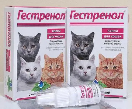 Най-ефективните капките за котки в топлина мнения
