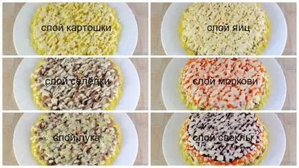 Сельодка под шуба класически рецепта всички слоеве със снимка (херинга) Херинга под шуба класически рецепта всички слоеве със снимки