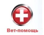 Цианоза при кучета - цианоза - симптоми, причини и лечение