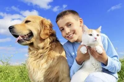 Симптомите на болестта бяс след ухапване от куче