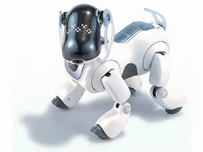 Робот куче Aibo »Робот играчки