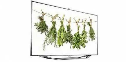 Smart TV в домашната си мрежа, как да свържете телевизора към вашата локална мрежа и компютъра - изборът на типа (свързване) Smart TV в домашната си мрежа, как да свържете телевизора към вашата локална мрежа и компютъра - изборът на вида на