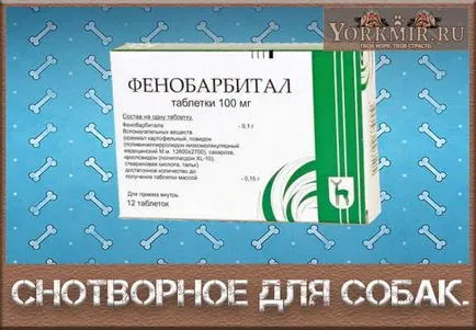 Спящата хапчета за кучета, видове, методи за ползване