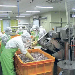 Сегашното състояние на морската икономика на Република Корея