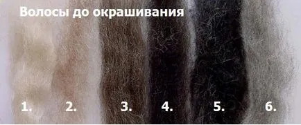 Споделянето на къна и Басма - оцветяване и грижи