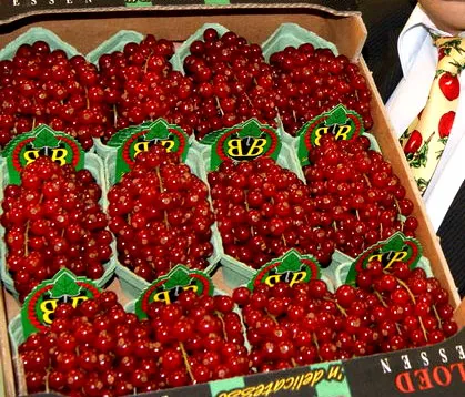 Списъкът на забранените продукти и стоки за внос в България през 2017 г.