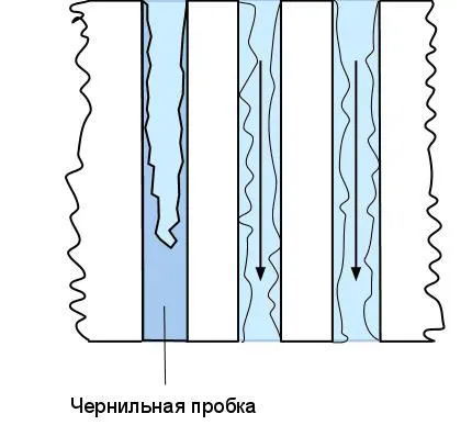 Методи за реанимация на печатащата глава суши - Енциклопедия - (глава) Методи за реанимация на печатащата глава суши - Енциклопедия -