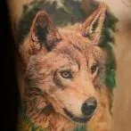 Wolf татуировка означава, скици