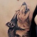 Wolf татуировка означава, скици