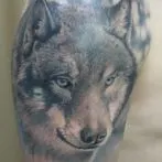 Wolf татуировка означава, скици