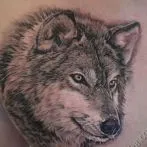 Wolf татуировка означава, скици