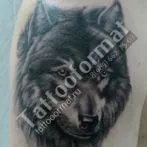 Wolf татуировка означава, скици