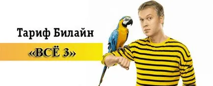 Тарифа - всичко 3 - от Beeline подробно описание, инструкции за свързване и изключване (описание) Тарифа - всичко 3 - от Beeline подробно описание, ръководство за свързване и разединяване