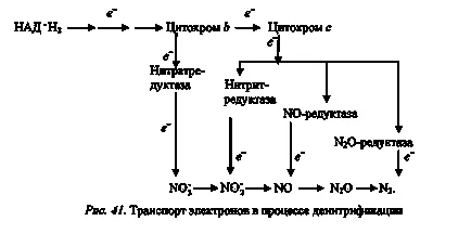Тема 16 