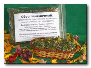 Билки за лечение на чернодробни ефективни средства Естествено