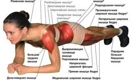 Ab тренировка