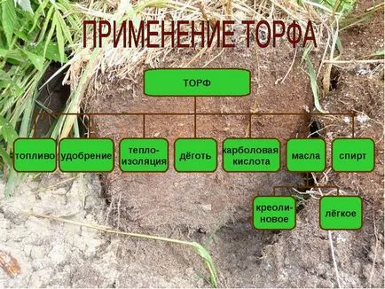 Торф - което се формира от статут, миризма, употреба