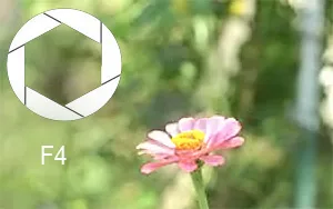 фотография уроци