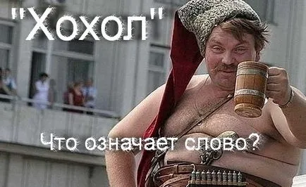 Какво означава думата - гребен произхода и историята