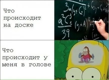 Какво не е наред с физиката в съвременното училище (школа) Какво не е наред с физиката в съвременното училище