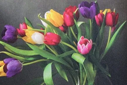 Видове Photowall снимка