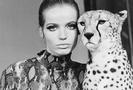 Veruschka (модел)