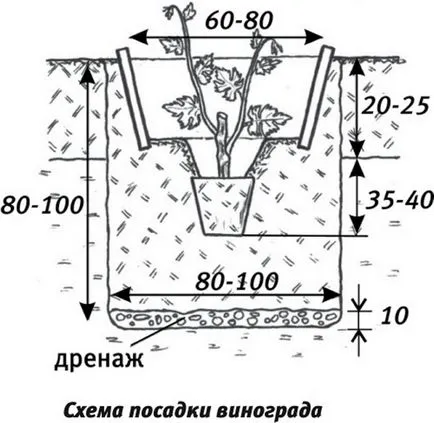 Видове разтворители, които са разтворители, сграда портал
