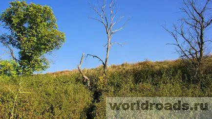 В търсене на съкровища от древна крепост, пътища на света (стара крепост) В търсене на съкровища от древна крепост, пътища на света