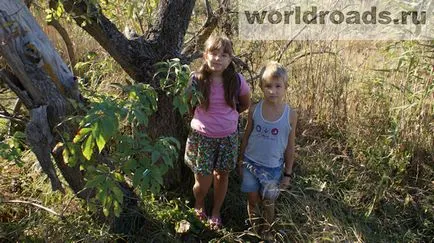 В търсене на съкровища от древна крепост, свят шосе (път) В търсене на съкровища от древна крепост, пътища на света