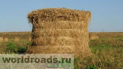 В търсене на съкровища от древна крепост, пътища на света (в региона на Ростов) В търсене на съкровища от древна крепост, пътища на света