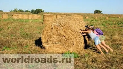 В търсене на съкровища от древна крепост, свят шосе (път) В търсене на съкровища от древна крепост, пътища на света