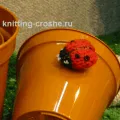 Плетено риба кука и плетиво (плетиво риба ще) Плетено риба кука и спици