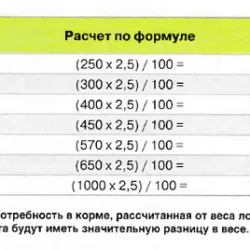 Всичко за хранене на коне, които ядат фуражи преглед, основи и диетични менюта