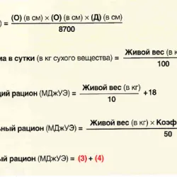 Всичко за хранене на коне, които ядат фуражи преглед, основи и диетични менюта