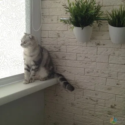 Временно кухня няколко снимки, които завършиха още), идеи за ремонт