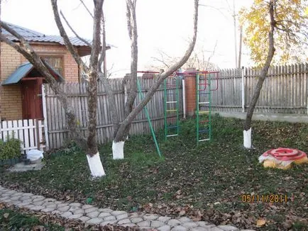 Защо е необходимо да рисува дървета, боядисване на дърветата през есента