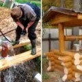 Какво е абисинска добре - всички нюанси