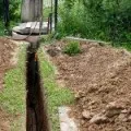 Какво е абисинска добре - всички нюанси