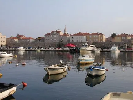 Какво е Черна гора