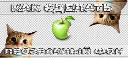 Как да си направим сай на боя инструмент