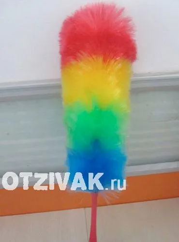Какво е pipidastr снимки, как да направите свои ръце
