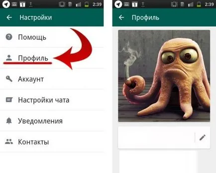 Какво е vatsap (WhatsApp), leephone